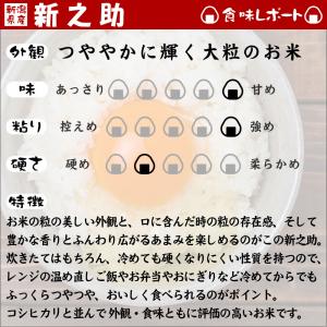 令和7年産 新潟産 新之助 10kg(5kg×...の詳細画像5