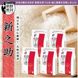 令和7年産 新潟産 新之助 10kg(2kg×...の詳細画像1