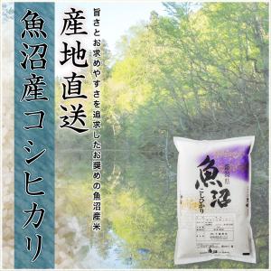 令和7年産 産直 魚沼産 コシヒカリ 15kg...の詳細画像1