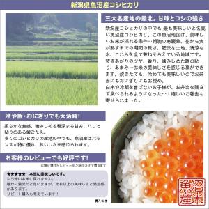 令和7年産 特選 魚沼産 コシヒカリ 10kg...の詳細画像3