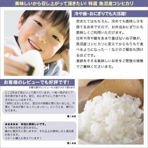 令和7年産 特選 魚沼産 コシヒカリ 10kg...の詳細画像4