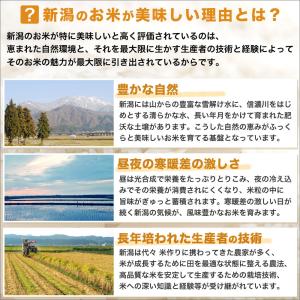 令和7年産 新潟産 つきあかり 10kg(5k...の詳細画像4