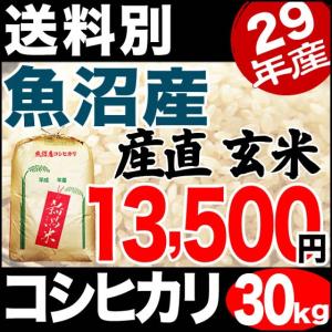 玄米 30kg 魚沼産コシヒカリ 産直 29年産 新潟産 送料別