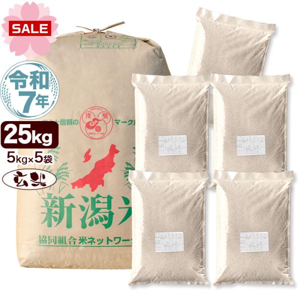 令和7年産 新潟産 コシヒカリ 山並 25kg(5kg×5袋) 玄米 送料無料 （北海道、九州、沖縄...