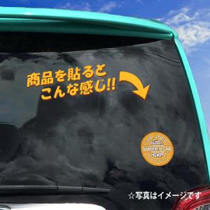 Mr. Zogs Sex Wax BABY・K...の詳細画像2