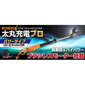 ニシガキ工業 太丸充電プロ2000 N-933...の詳細画像3