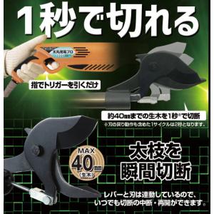 ニシガキ工業 太丸充電プロ2000 N-933...の詳細画像4