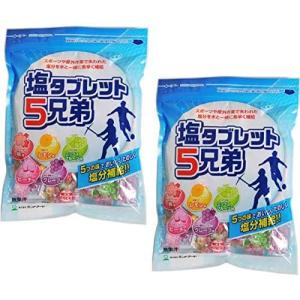 塩タブレット5兄弟 500g×10袋 1ケースまとめ買い ランドアート 2026年