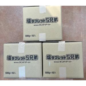 □塩タブレット5兄弟□ 500g×10袋 1ケースまとめ買い ランドアート