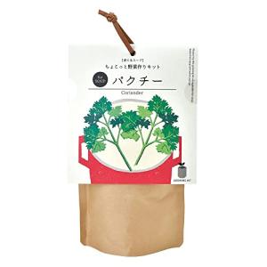 パクチー 苗の商品一覧 通販 Yahoo ショッピング