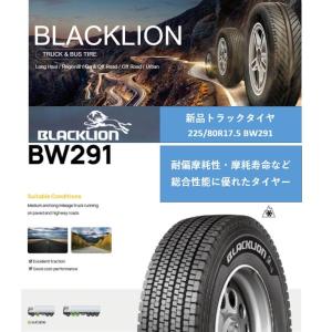 225/80R17.5 14PR 123/122L BW291 スタッドレス 新品 トラックタイヤ 大型車用 ブラックライオン BLACKLION