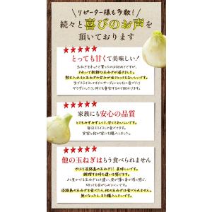 玉ねぎ 10kg 訳あり 淡路島 #淡路玉ねぎ...の詳細画像3
