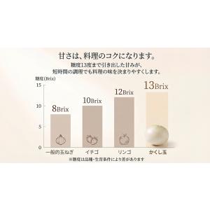玉ねぎ 淡路島 かくし玉 2kg #かくし玉2K#の詳細画像5