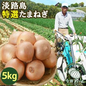 #特選 淡路玉ねぎ 5K#　