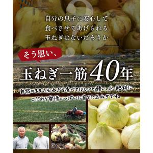 玉ねぎ 訳あり 5kg 淡路島 #訳あり淡路玉...の詳細画像4