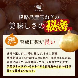 玉ねぎ 訳あり 5kg 淡路島 #訳あり淡路玉...の詳細画像5