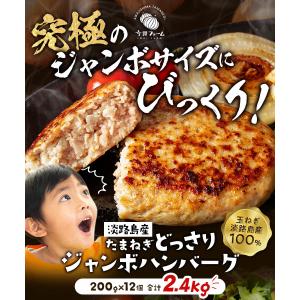 ハンバーグ お取り寄せ 冷凍 ジャンボハンバー...の詳細画像1