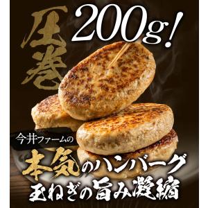 ハンバーグ お取り寄せ 冷凍 ジャンボハンバー...の詳細画像3