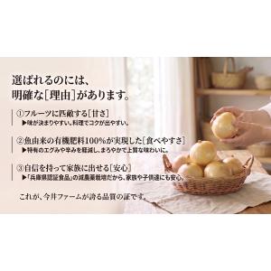 玉ねぎ 10kg 淡路島 玉ねぎ かくし玉 #...の詳細画像2