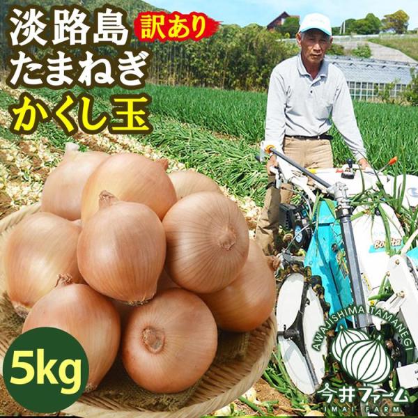 新たまねぎ 淡路島 訳あり 5kg かくし玉 玉葱 新玉 今井ファーム ＃かくし玉訳あり5Ｋ＃ たま...