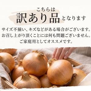 玉ねぎ 訳あり 淡路島 玉ねぎ 5kg かくし...の詳細画像2