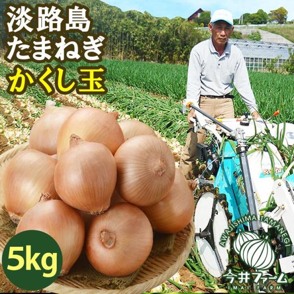 玉ねぎ 5kg たまねぎ 淡路島 かくし玉 玉葱 今井ファーム＃かくし玉 5Ｋ＃ 爆買