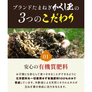 玉ねぎ 5kg たまねぎ 淡路島 かくし玉 玉...の詳細画像2