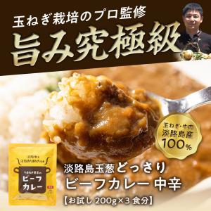 淡路カレー3食 カレー 淡路島玉ねぎ レトルト...の詳細画像1