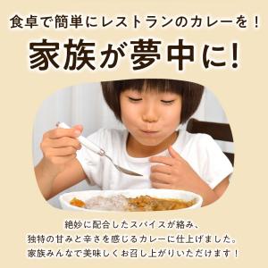 淡路カレー3食 カレー 淡路島玉ねぎ レトルト...の詳細画像2