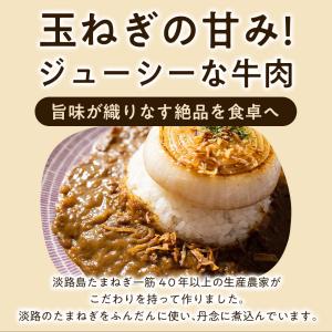 淡路カレー3食 カレー 淡路島玉ねぎ レトルト...の詳細画像3