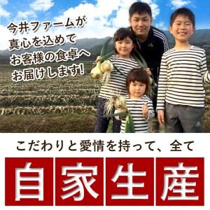 淡路カレー3食 カレー 淡路島玉ねぎ レトルト...の詳細画像5