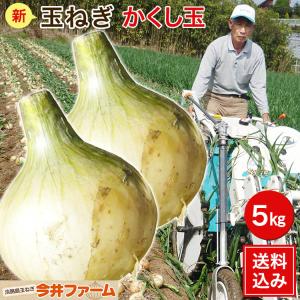 新たまねぎ 淡路島 5kg 減農薬 有機肥料栽培 かくし玉 今井ファ−ム 玉ねぎ タマネギ 玉葱 ＃かくし玉５Ｋｇ＃