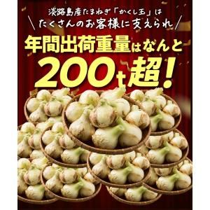 新たまねぎ 淡路島 たまねぎ 10kg 訳あり...の詳細画像4