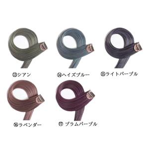 ワンタッチ エクステ ウィッグ メッシュ カラ...の詳細画像2