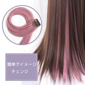 ワンタッチ エクステ ウィッグ メッシュ カラ...の詳細画像3