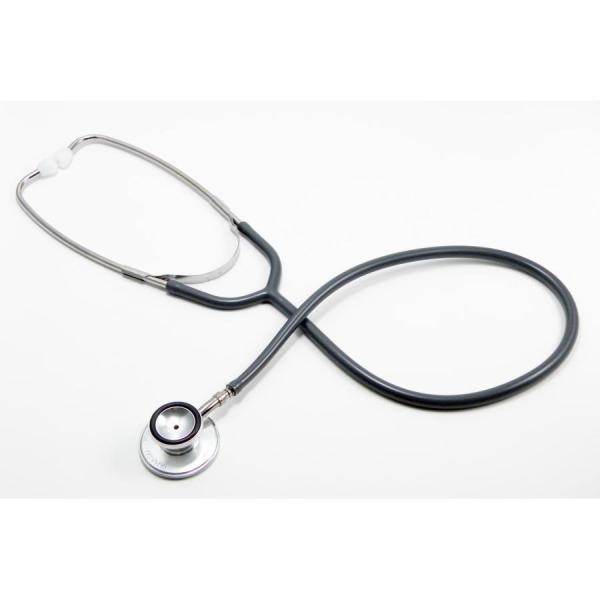 ダブル聴診器 No.120 内バネ式 シルバー 0120B105 ケンツメディコ 送料無料
