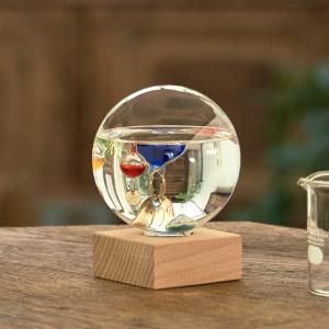 Fun Science（ファン・サイエンス） ガリレオ温度計 電球型ガラス