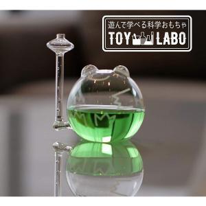 天気予報計 晴雨計 かえる 晴雨予報グラス TOY-5-01 ザ・フロッグ