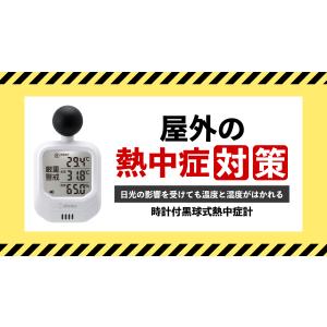【在庫有】黒球付熱中症計 WBGT計 暑さ指数...の詳細画像1