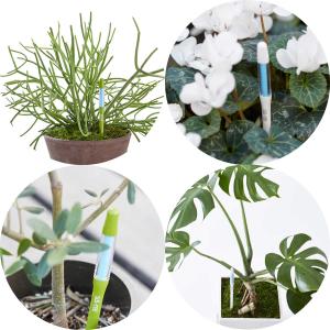 水やりチェッカー サスティー 水分計 植物 土...の詳細画像3