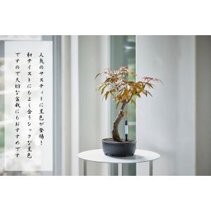 水やりチェッカー サスティー 水分計 植物 土...の詳細画像5