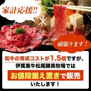 もつ鍋【同梱・増量専用】ちゃんぽん麺の詳細画像4