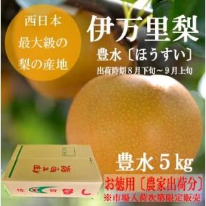 特価　【伊万里梨豊水】5キロ　13.14玉　農家出荷分　傷あり　お徳用　送料無料　伊万里　お買い得