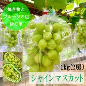 【9月上旬】【伊万里産シャインマスカット】1キロ越え（2房）　伊万里青果市場より直送 　送料無料　市場厳選農家指定