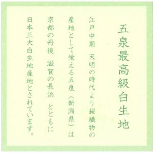 茶道具 帛紗 佐保路カラー 正絹 無地 カラー...の詳細画像5