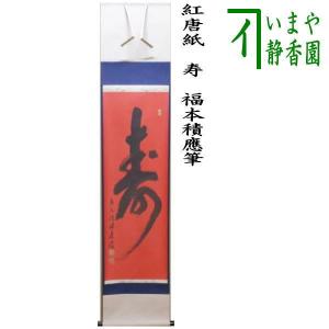 茶道具 掛軸 掛け軸 一行 青松多寿色又は一期一会又は松樹千年翠