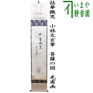 茶道具 掛軸 掛け軸 一行 春入千林処々花 田島碩應筆 茶道 : 茶道具