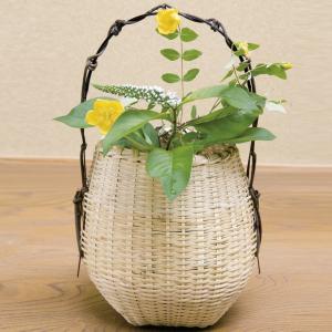 茶道具 竹籠花入 竹篭花入 置用 有馬籠 茶道 : 茶道具いまや静香 茶道具 竹籠花入 竹篭花入 置用 有馬籠 茶道 : 茶道具いまや静香