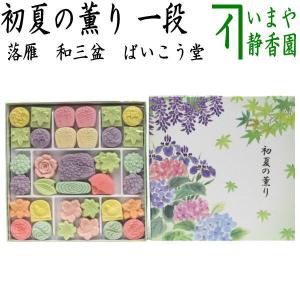 お菓子 和菓子 干菓子 落雁 らくがん 和三盆糖 緑の小路 一段 新緑 ばいこう堂｜imaya-storo