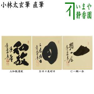 茶道具 色紙画賛 干支 戌 干支色紙画賛 直筆 金毛獅子変成狗 犬図 小森